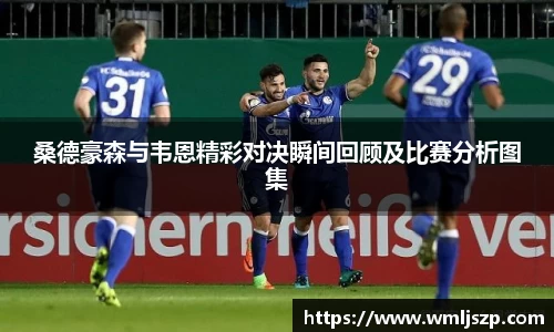 桑德豪森与韦恩精彩对决瞬间回顾及比赛分析图集